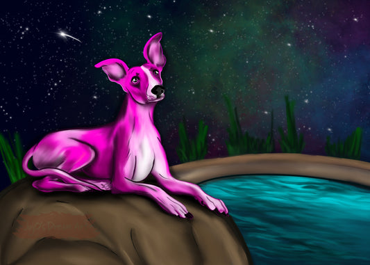 Geraldine the pink greyhound!