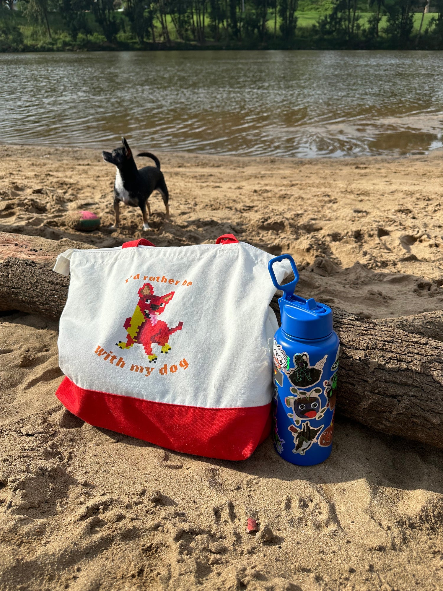 Totes & Pouches
