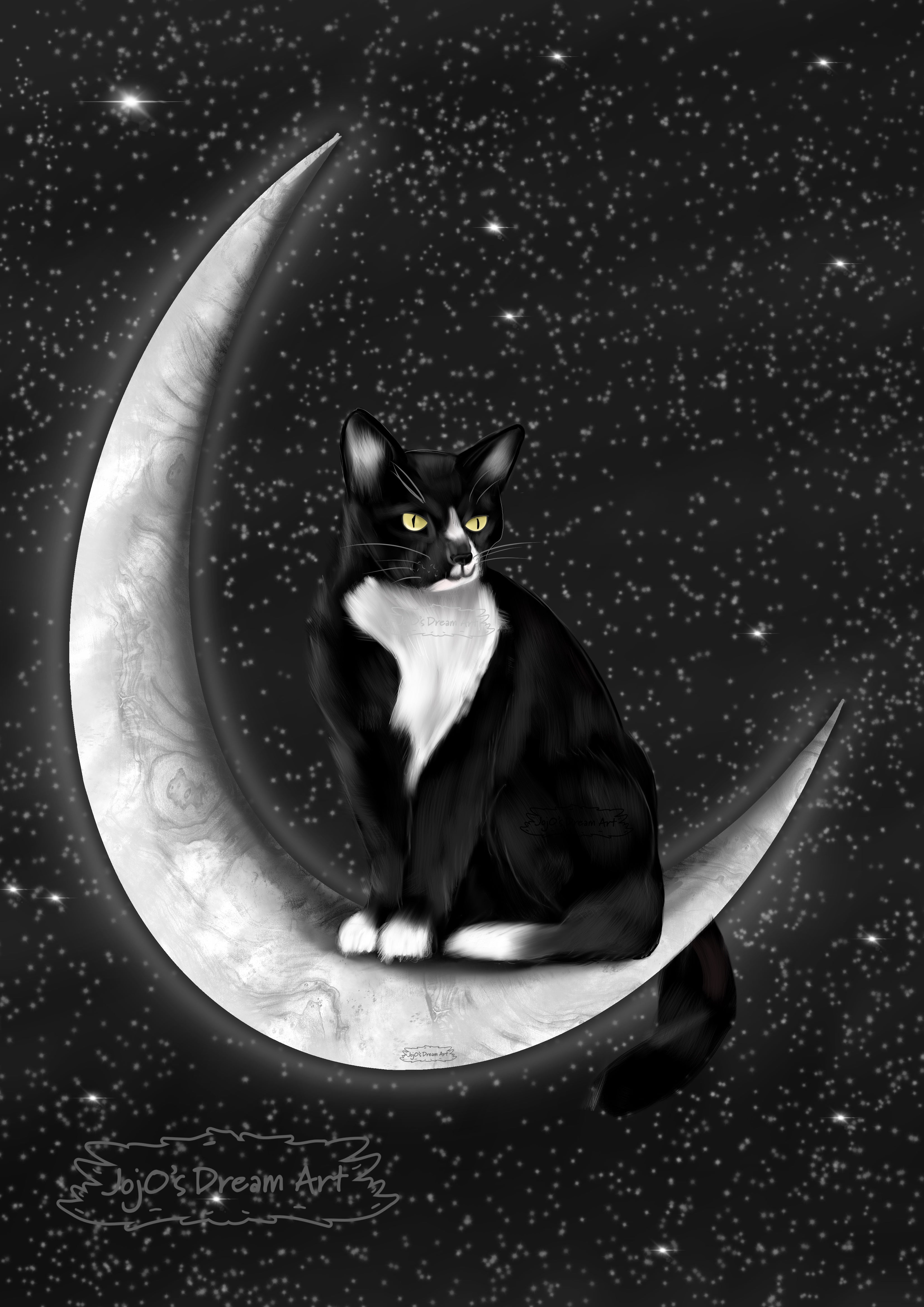 Cat on the Moon!