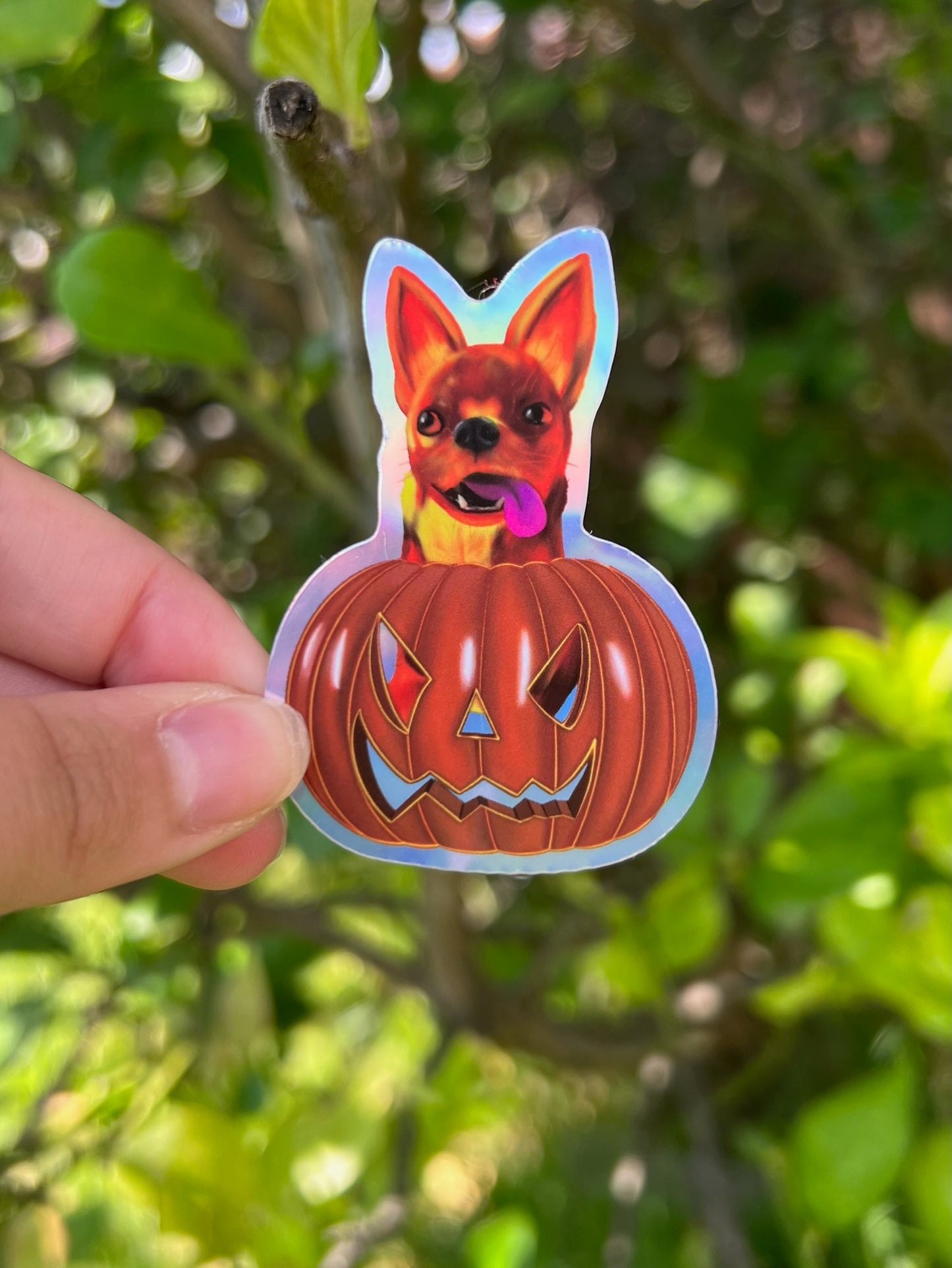 Pumpkin Pup Chihuahua Sticker