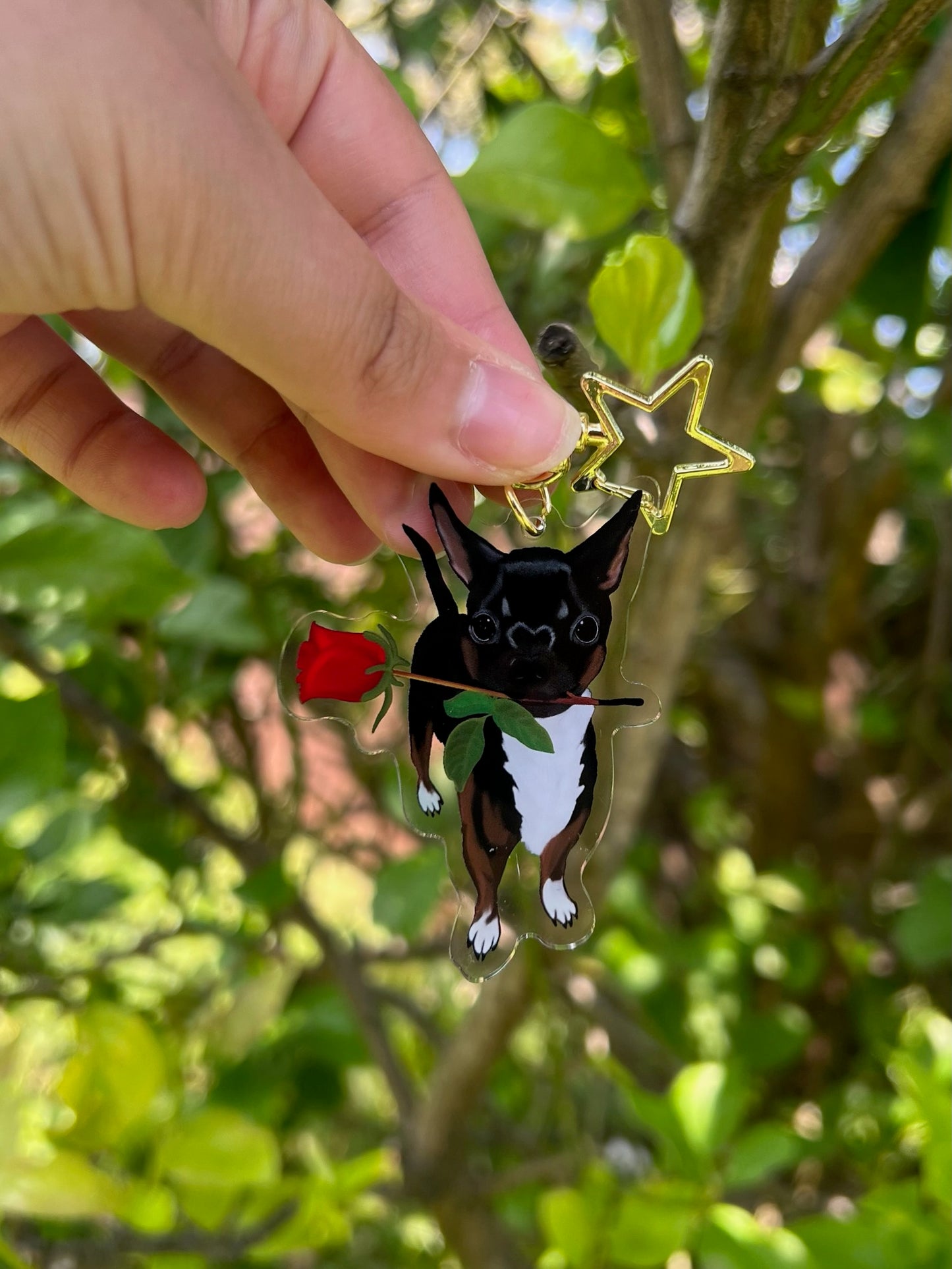 Chihuahua with her Rose Acrylic Keychain