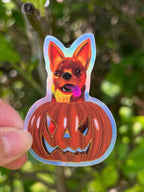 Halloween Fiery Chihuahua in a Pumpkin Holographic Sticker taken outdoors