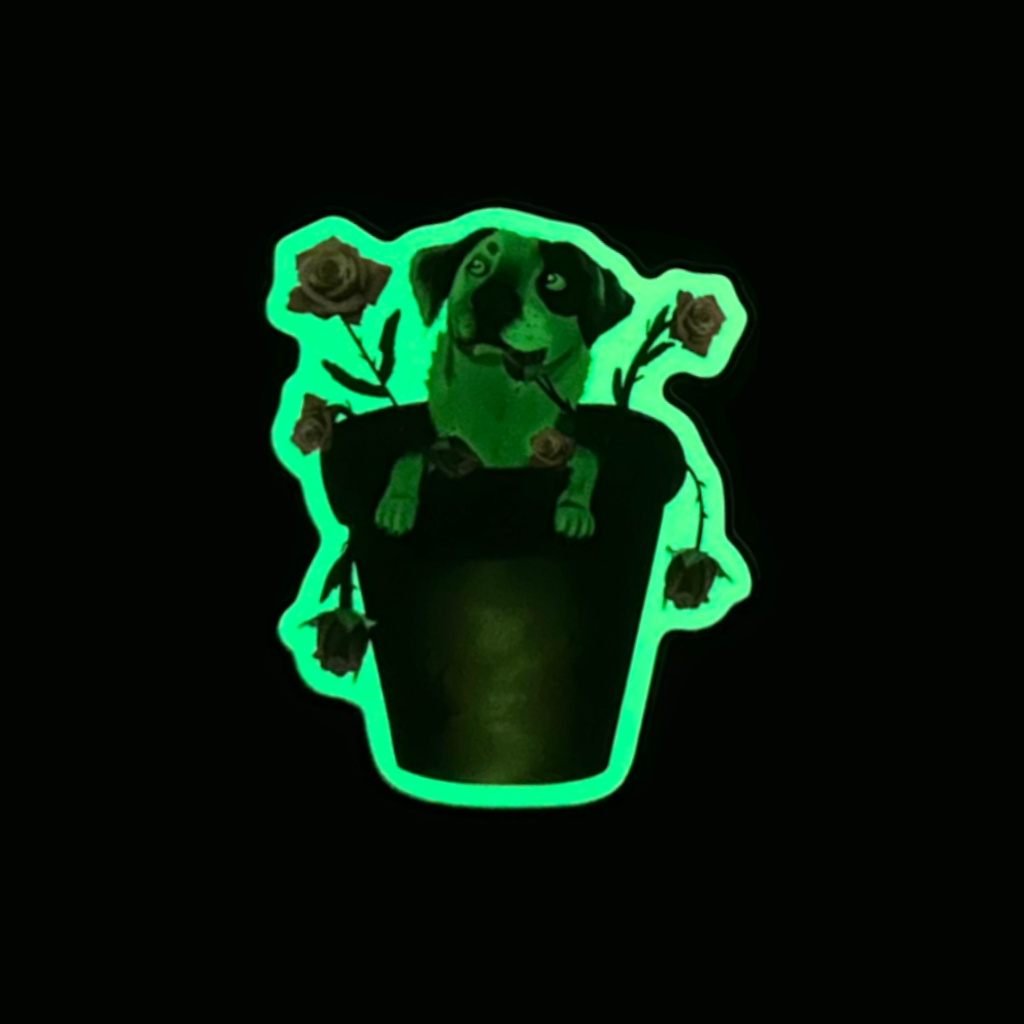 Pot Plant Flash the Cattle Dog Glow in the Dark Sticker (New Design)