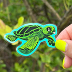 Taco the Sea Turtle Glow in the Dark Sticker