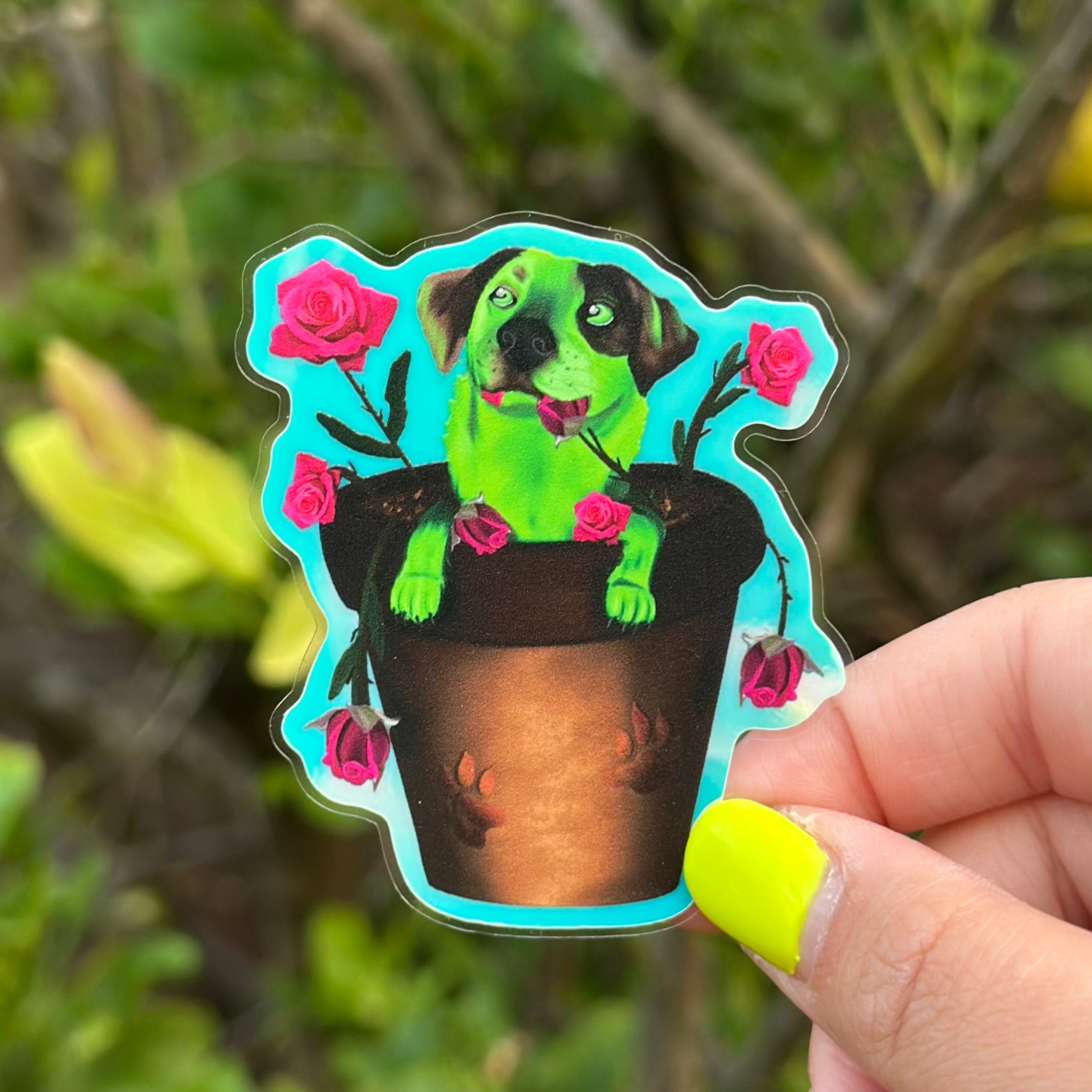 Pot Plant Flash the Cattle Dog Glow in the Dark Sticker (New Design)