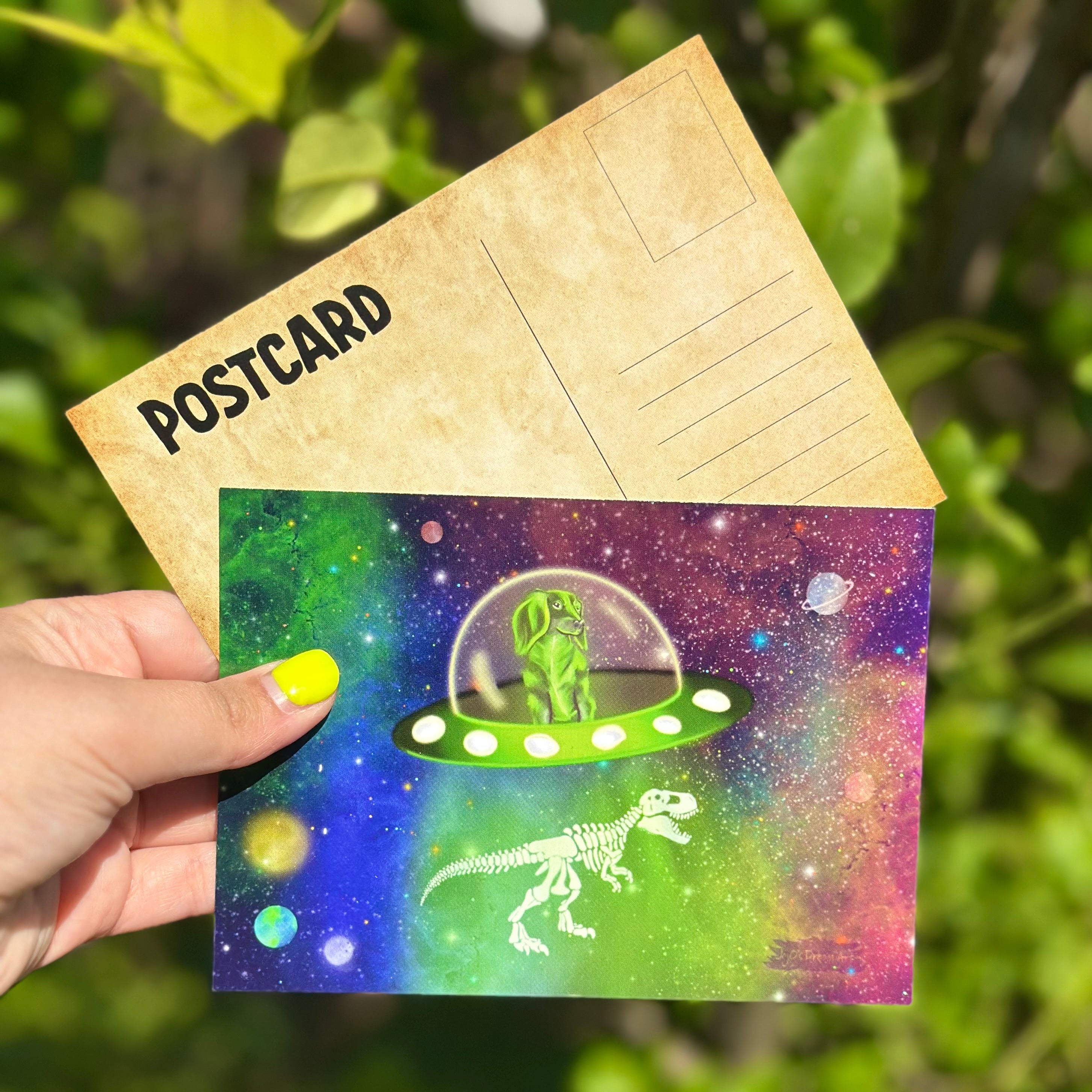 Stella the Space Dachshund A6 Postcard