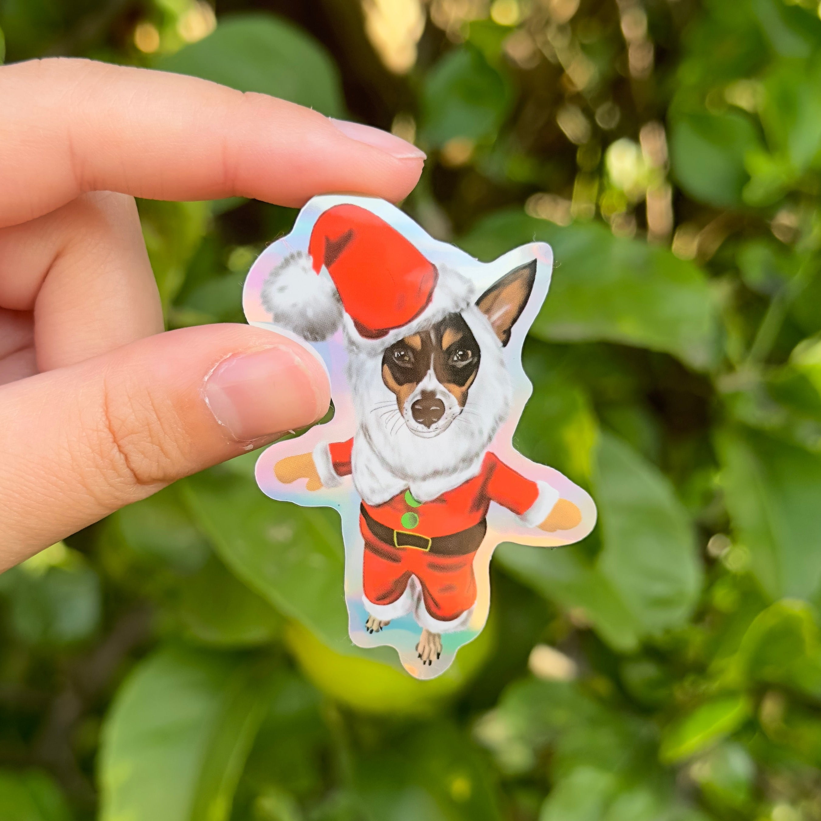 Jack Russell Christmas Paws Holographic Sticker