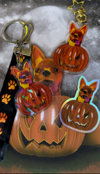 Acrylic Keychain, Lanyard, and Holographic Sticker of Fiery Halloween Chihuahua in a Pumpkin Set