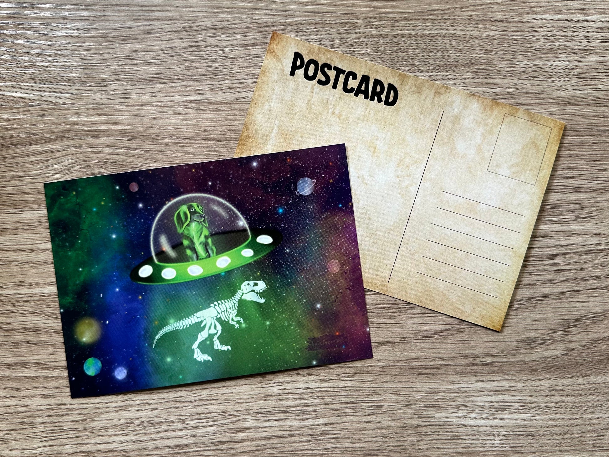 Space dog Post card