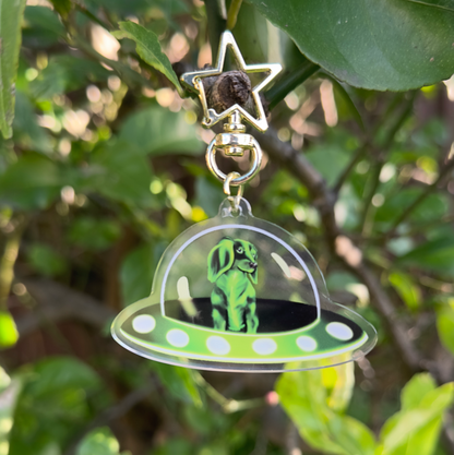 Stella the space Dachshund Acrylic keychain