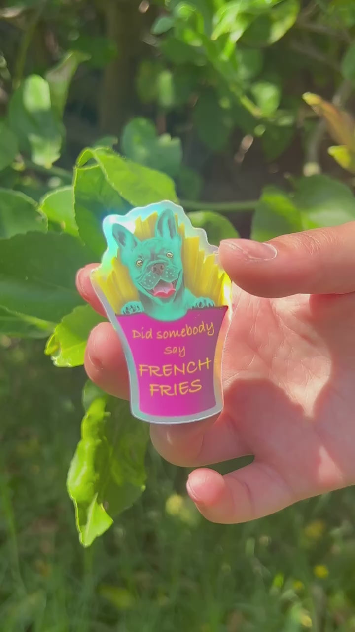 Frankie the french  bulldog holographic sticker shining in the sun outdoor video
