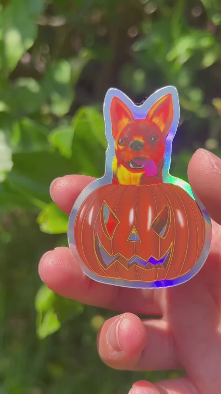 Halloween Fiery Chihuahua in a Pumpkin Shining Holographic Sticker Video